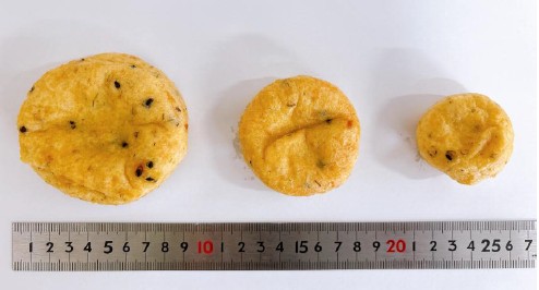 新潟大豆がんも（冷凍）